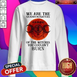 Top We Are The Granddaughters Of The Witches You Couldn’t Burn Sweatshirt