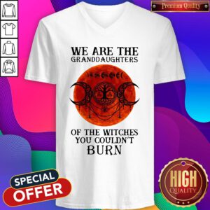 Top We Are The Granddaughters Of The Witches You Couldn’t Burn V-neck