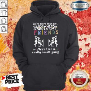 We’re More Than Just Hair Stylist Friends We’re Like A Really Small Gang Hoodie