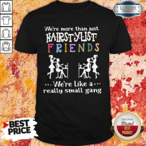 We’re More Than Just Hair Stylist Friends We’re Like A Really Small Gang Shirt