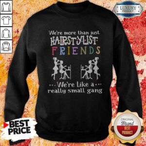 We’re More Than Just Hair Stylist Friends We’re Like A Really Small Gang Sweatshirt