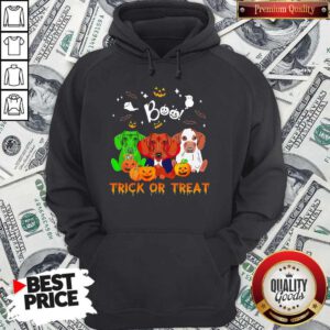 Funny Dachshund Halloween Boo Trick Or Treat Hoodie