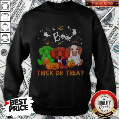 Funny Dachshund Halloween Boo Trick Or Treat Sweatshirt