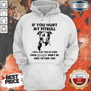 If You Hurt My Pitbull I Will Slap You So Hard Even Google Won’t Be Able To Find You Hoodie
