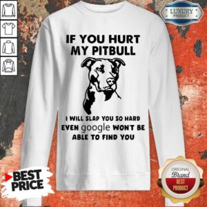 If You Hurt My Pitbull I Will Slap You So Hard Even Google Won’t Be Able To Find You Sweatshirt