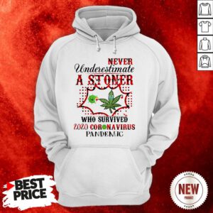 Never Underestimate A Stoner Who Survived 2020 Coronavirus Pandemic Hoodie