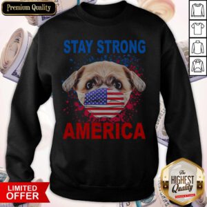 Nice Shih Tzu Face Mark Stay Strong America Flag Sweatshirt