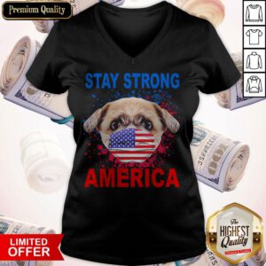 Nice Shih Tzu Face Mark Stay Strong America Flag V-neck