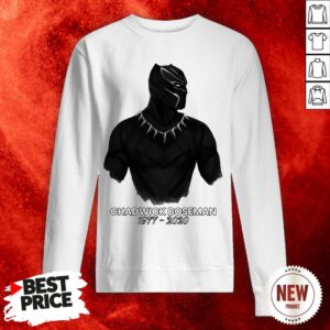 RIP Chadwick Boseman A Tribute To King T'challa The Black Panther Sweatshirt