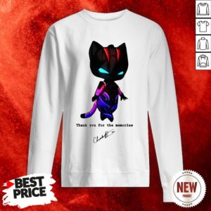 RIP Chadwick Boseman Black Panther's Actor Passes At 43 Sweatshirt