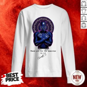 Thank You For The Memories Chadwick Boseman Black Panther Rip 1977-2020 Sweatshirt
