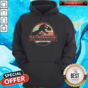 Top Dinosaur T Rex Fatherhood Like A Walk In The Park Vintage Retro Hoodie