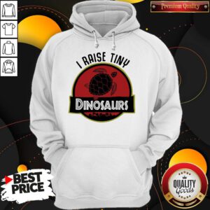 Top Turtle I Raise Tiny Dinosaurs Hoodie