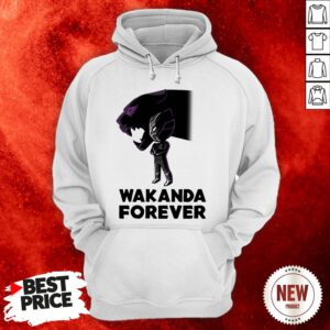 Actor Chadwick Boseman Of Marvel Thank You For The Memories Hoodie