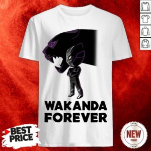 Actor Chadwick Boseman Of Marvel Thank You For The Memories Shirt