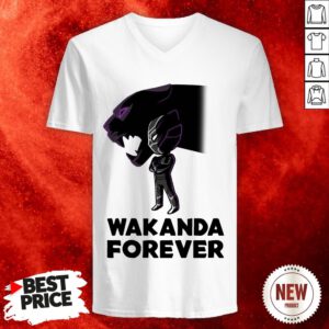 Actor Chadwick Boseman Of Marvel Thank You For The Memories V-neck