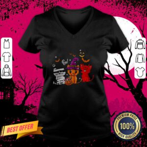 Boo Cats Pumpkin Ghost Halloween V Neck