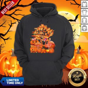 Official Fall Flamingo Halloween Hoodie