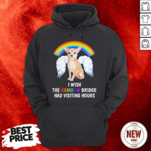 Rainbow Chihuahua Wing I Wish The Rainbow Bridge Had Visiting Hours Hoodie