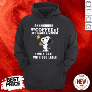 Snoopy Woodstock My Coffee And I Are Having A Moment I Will Deal Hoodie