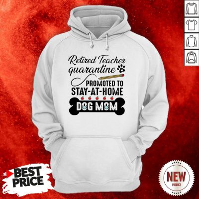 Teacher Quarantine Promoted Ro Stay At Home Dog Mom Hoodie