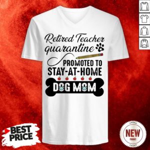 Teacher Quarantine Promoted Ro Stay At Home Dog Mom V-neck