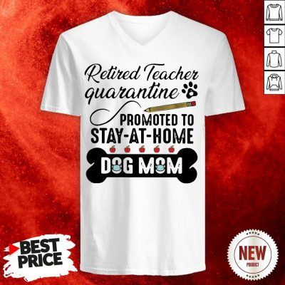 Teacher Quarantine Promoted Ro Stay At Home Dog Mom V-neck
