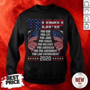 Trump Pro God Pro Life Pro Jobs Pro Israel Pro Military American Flag Sweatshirt