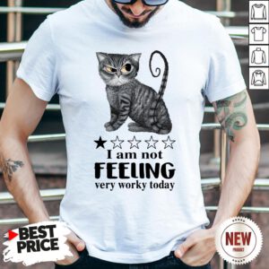 Cat I Am Not Feeling Very Worky Today Shirt