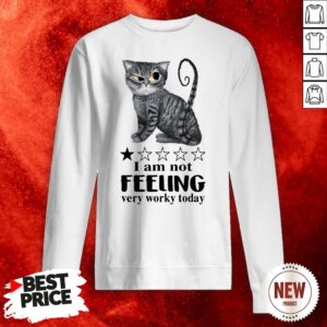 Cat I Am Not Feeling Very Worky Today Sweatshirt