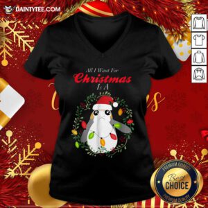 Star Wars Porg All I Want Christmas Holiday V Neck- Design By Daintytee.com