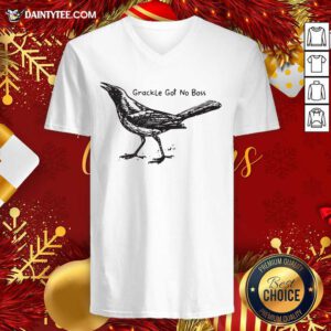 Bird Grackle Got No Boss V-neck- Design By Daintytee.com