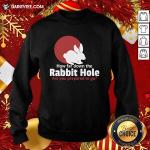 How Far Down The Rabbit Hole Are You Prepared To Go Sweatshirt- Design By Daintytee.com