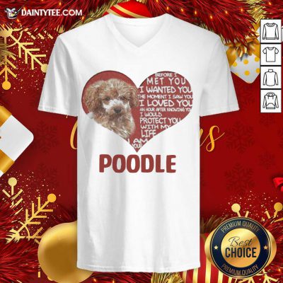 Before I Met You I Wanted You The Moment I Saw You I Loved You I Am Your Poodle V-neck- Design By Daintytee.com