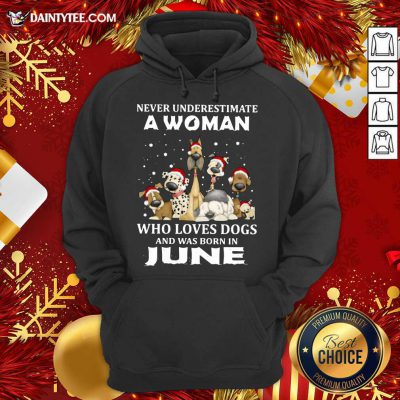 Never Underestimate A Woman Who Loves Dogs And Was Born In June Christmas Hoodie- Design By Daintytee.com