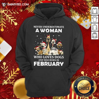 Never Underestimate A Woman Who Loves Dogs And Was Born In February Christmas Hoodie- Design By Daintytee.com
