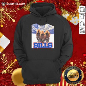 Buffalo Bills NFL Hoodie- Design By Daintytee.com
