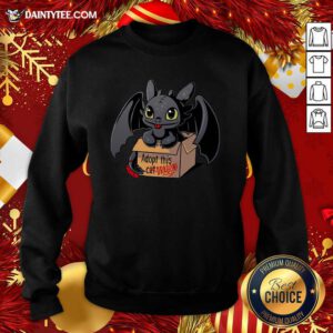 Adopt This Dragon Sweatshirt- Design By Daintytee.com