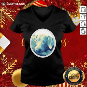 Cailey The Weimaraner At Rest V-neck- Design By Daintytee.com