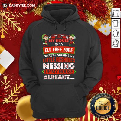 My House Is An Elf Free Zone Christmas 2020 Hoodie- Design By Daintytee.com