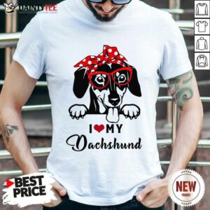I Love My Dog Dachshund Shirt- Design By Daintytee.com