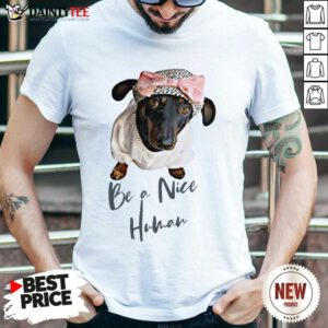 Top Dachshund Be A Nice Human Dog Shirt