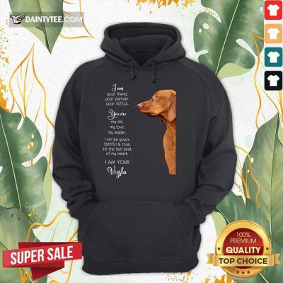 Top Vizsla Im Your Friend For Vizsla Lover Hoodie