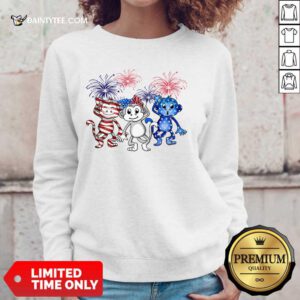 Monkey Firework American Flag Sweater