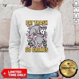 Premium Cute Raccoon Eat Trash Do Crimes Sweater
