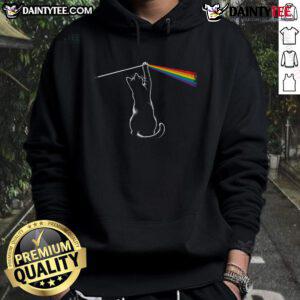 Funny cat playing with rainbow light while wearing a colorful hoodie, showcasing playful feline energy and charm.