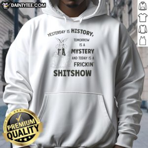 Alt Text: Awesome Wile E. Coyote Looney Tunes hoodie featuring 'Yesterday Is History, Tomorrow Is A Mystery, Today A Shitshow' design.