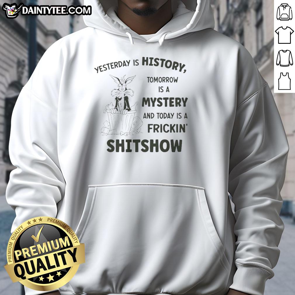 Alt Text: Awesome Wile E. Coyote Looney Tunes hoodie featuring 'Yesterday Is History, Tomorrow Is A Mystery, Today A Shitshow' design.