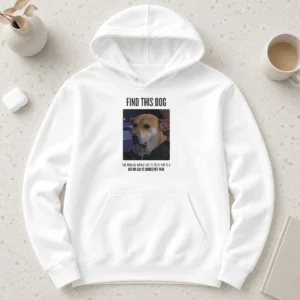Premium Find This Dog The Marlins Would Like To Treat Him To A Dream Day At Loandepot Park hoodie in dark color, front view with drawstring hood